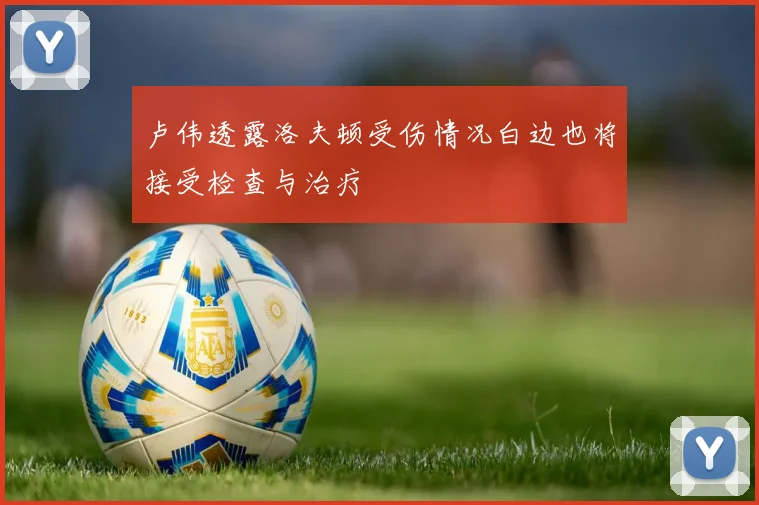 卢伟透露洛夫顿受伤情况白边也将接受检查与治疗
